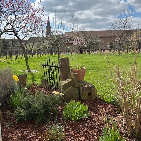 Dom wakacyjny Des Cigognes *