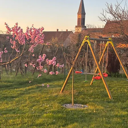 Dom wakacyjny Des Cigognes Kintzheim