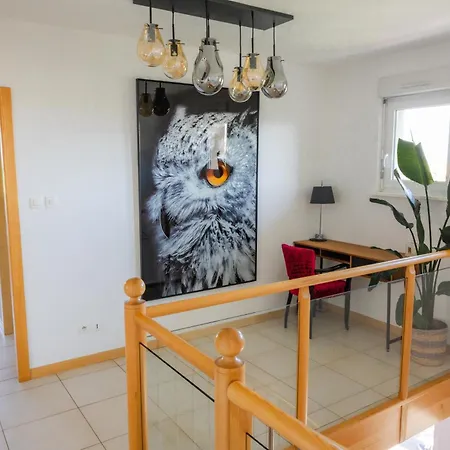 Des Cigognes * Kintzheim