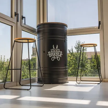 Des Cigognes Hébergement de vacances Kintzheim