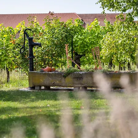 Dom wakacyjny Des Cigognes Kintzheim