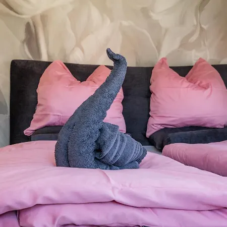 Des Cigognes * Kintzheim