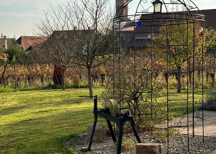 Des Cigognes Tatil Evi *