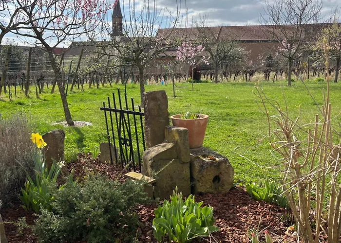 Tatil Evi Des Cigognes *