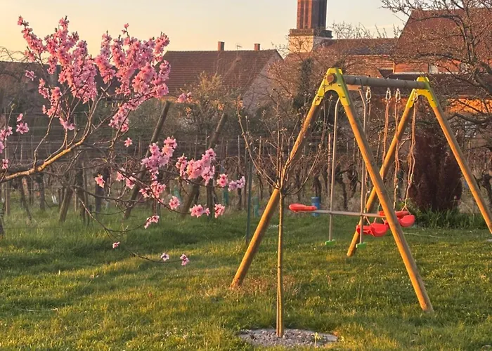 Tatil Evi Des Cigognes Kintzheim