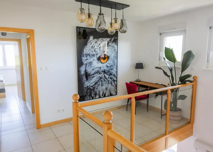 Des Cigognes * Kintzheim