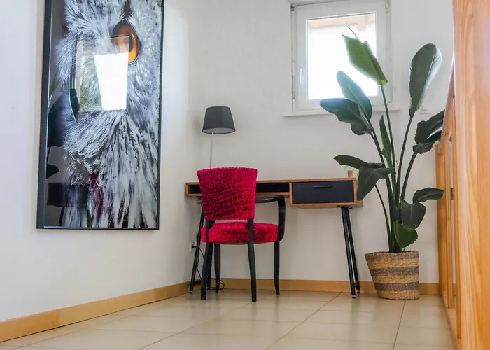 Des Cigognes * Kintzheim