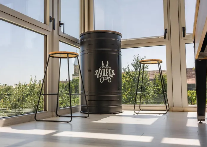 Des Cigognes Tatil Evi Kintzheim