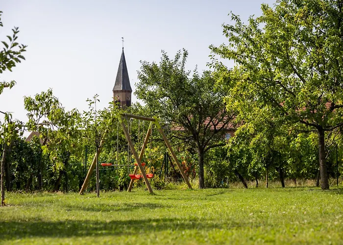 Des Cigognes Kintzheim