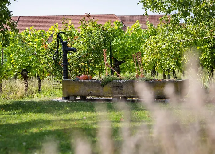 Tatil Evi Des Cigognes Kintzheim